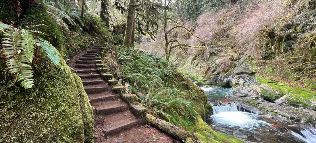 Sweet Creek Falls Trail